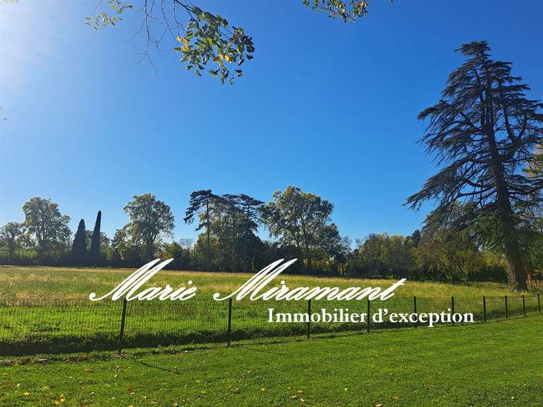 Maison Avignon - 5 chambres - 320m²