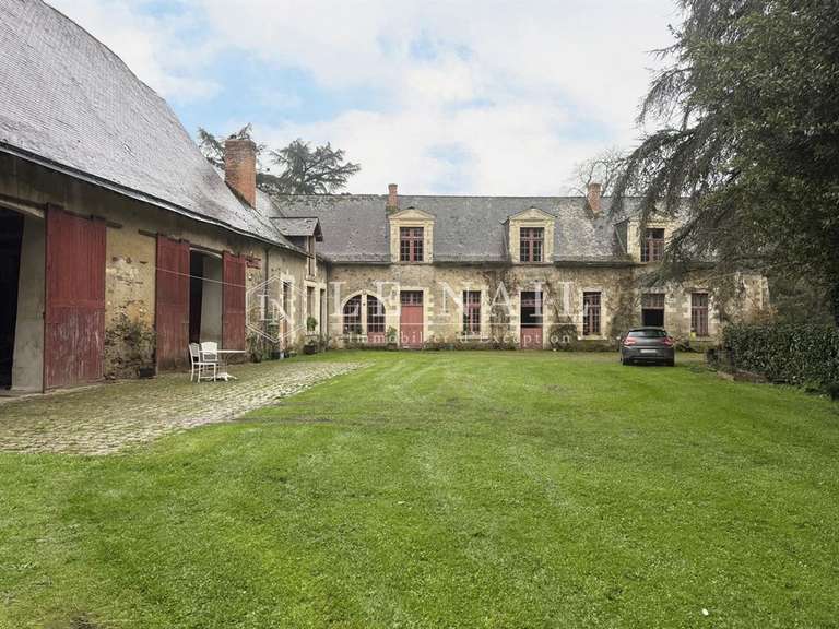 Château Le Lion-d'Angers - 13 chambres - 800m²