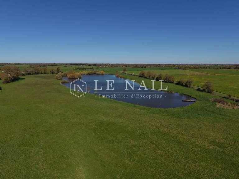 Château Le Lion-d'Angers - 13 chambres - 800m²