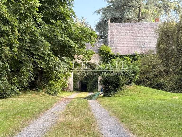 Château Le Lion-d'Angers - 13 chambres - 800m²