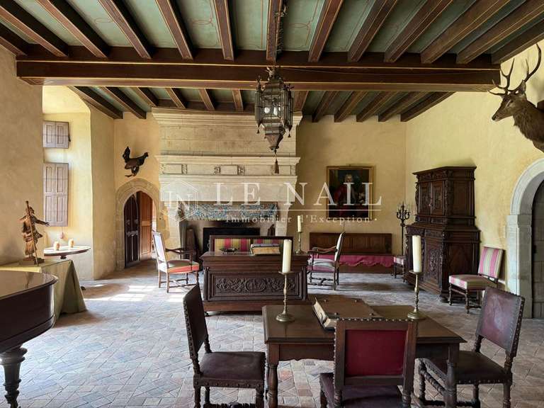Château Le Lion-d'Angers - 13 chambres - 800m²