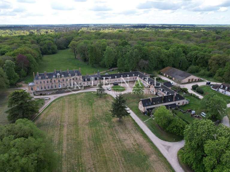 Château Orléans - 42 chambres - 1600m²