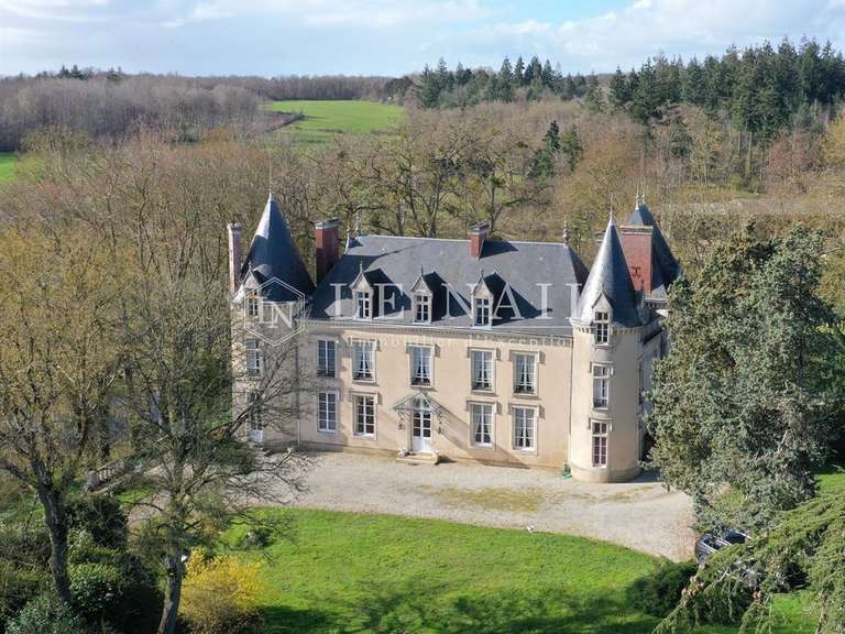 Château Fresnay-sur-Sarthe - 7 chambres - 446m²