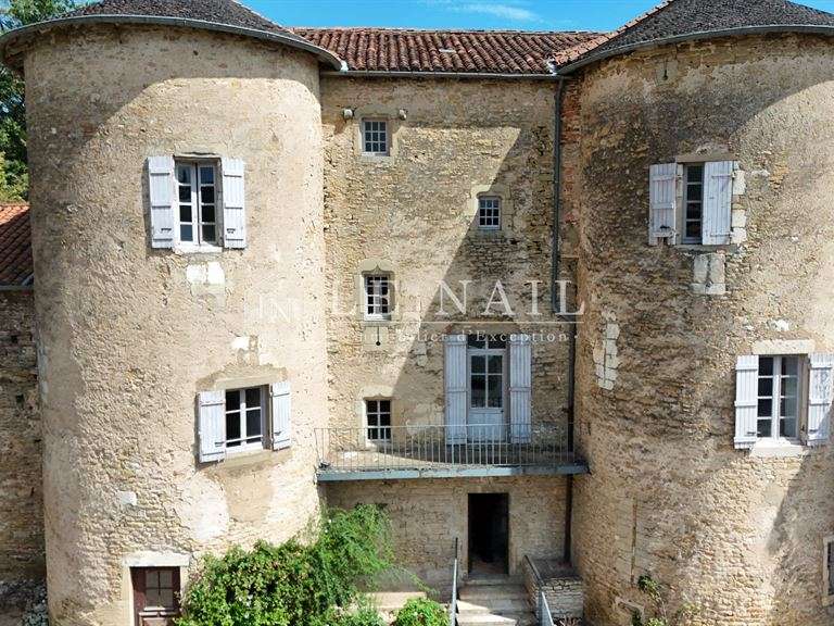 Château Varennes-lès-Mâcon - 17 chambres - 930m²