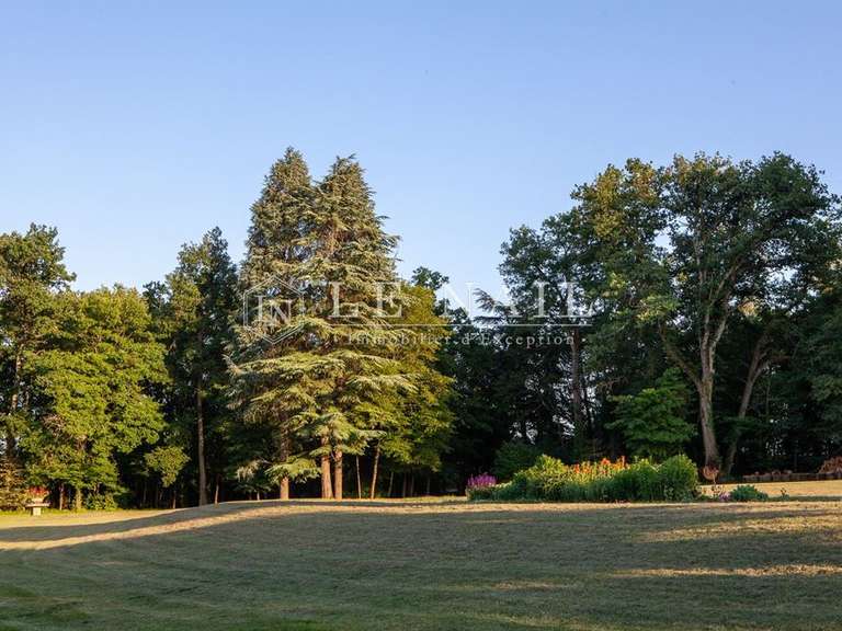 Château Poitiers - 6 chambres - 520m²