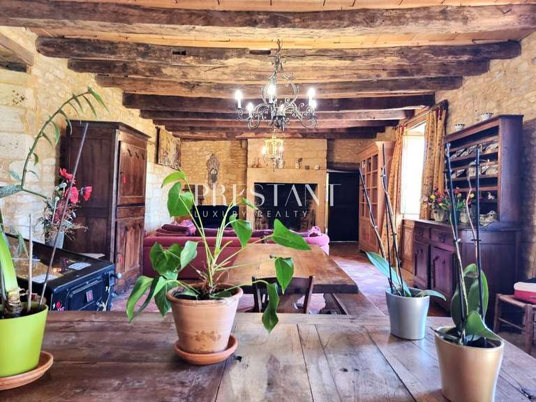 Property Sarlat-la-Canéda - 7 bedrooms - 480m²