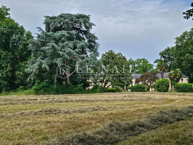 Castle Le Lion-d'Angers - 6 bedrooms - 400m²