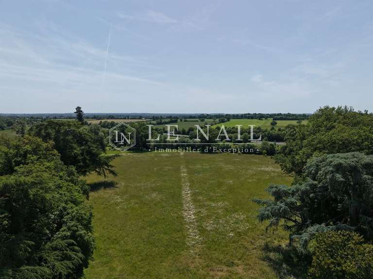 Castle Le Lion-d'Angers - 6 bedrooms - 400m²