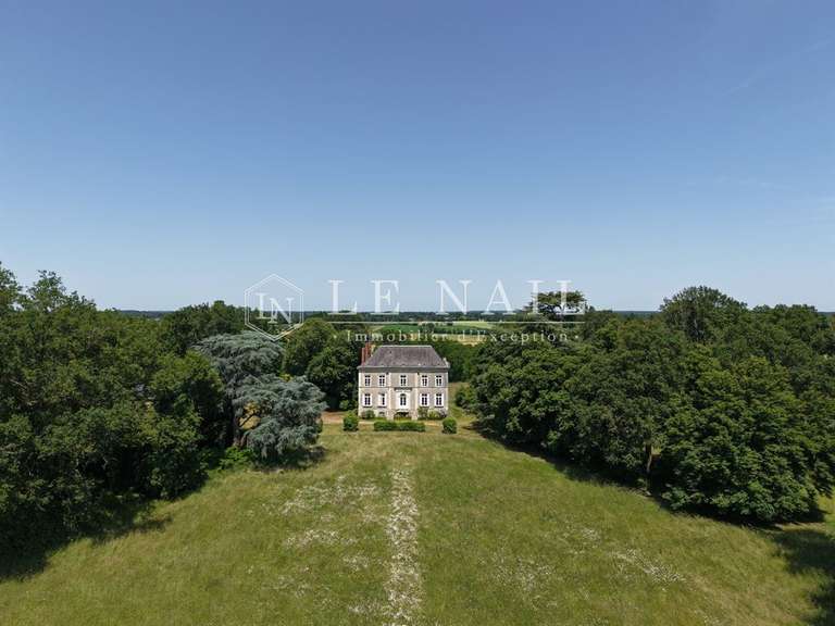 Castle Le Lion-d'Angers - 6 bedrooms - 400m²