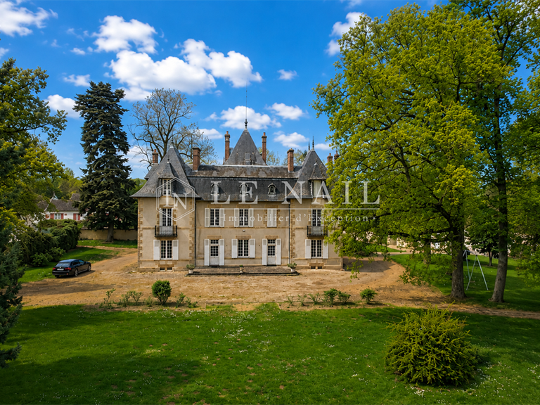 Château Moulins - 11 chambres - 413m²