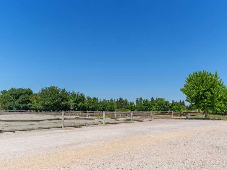 Propriété équestre Montpellier - 4 chambres - 306m²