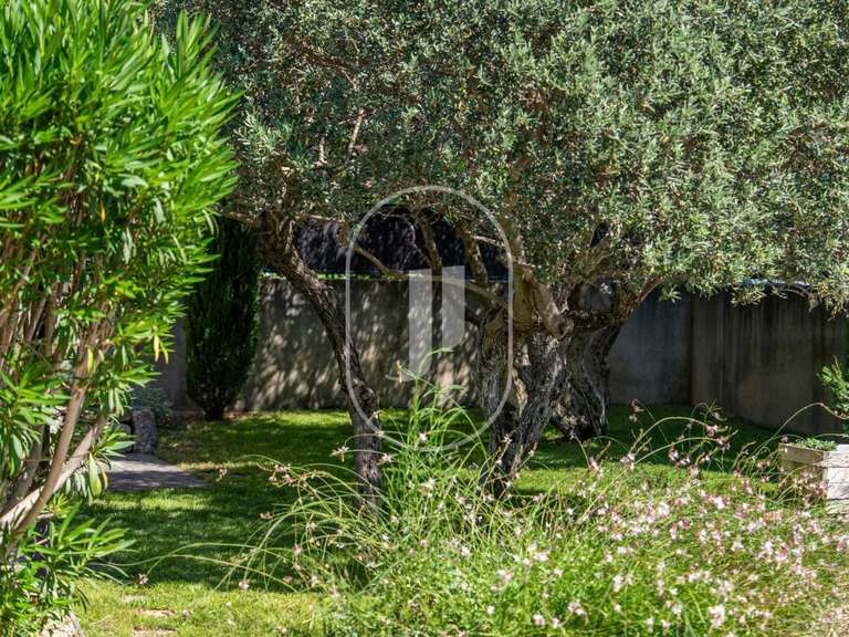 Maison Eygalières - 5 chambres - 204m²