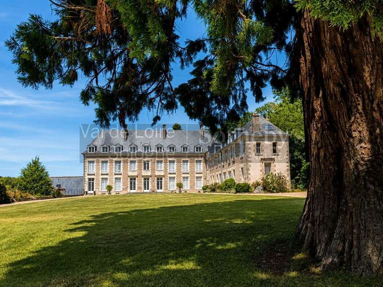 Château Amboise - 8 chambres - 1125m²