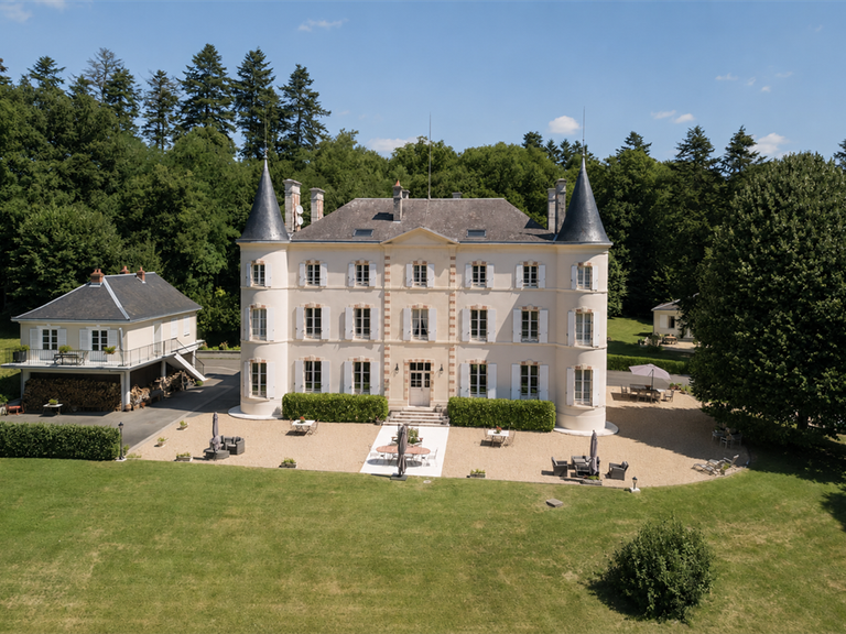 Castle Vierzon - 7 bedrooms - 650m²