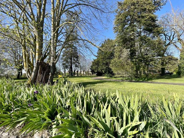 Château Chef-Boutonne - 7 chambres - 405m²