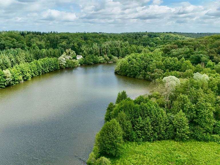 Castle Bourgueil - 1000m²