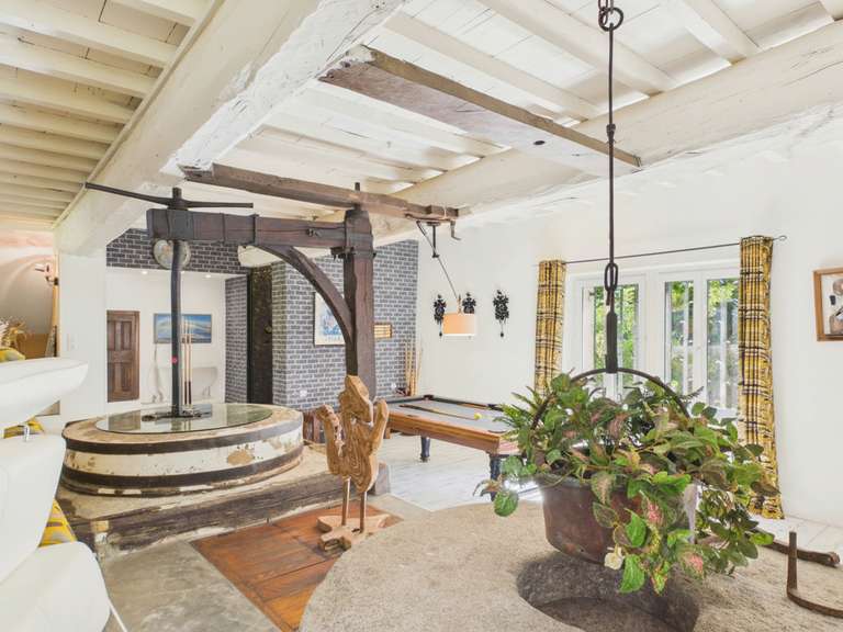 Moulin Carcassonne - 10 chambres - 600m²