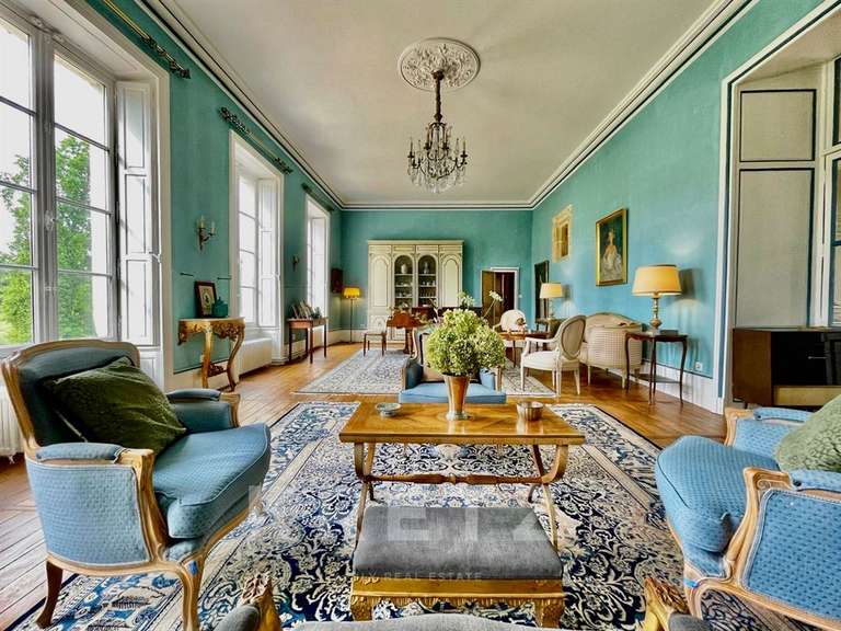 Château Chabris - 14 chambres - 936m²
