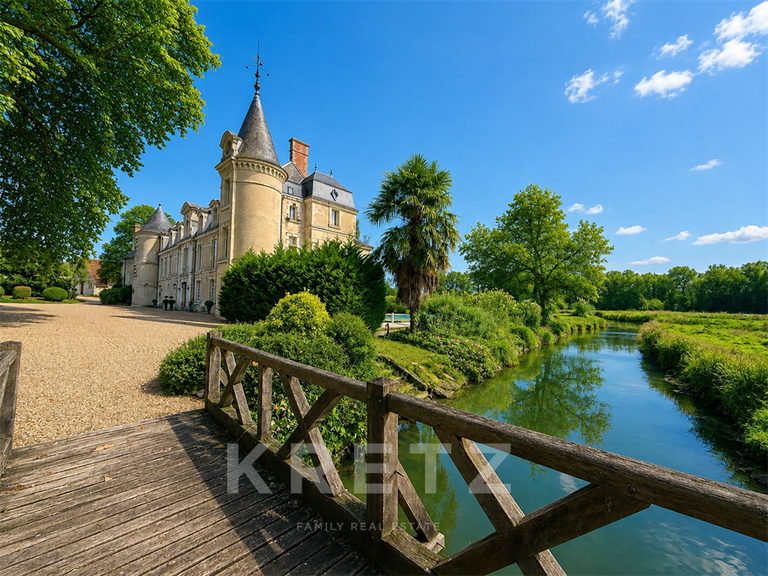 Château Chabris - 14 chambres - 936m²