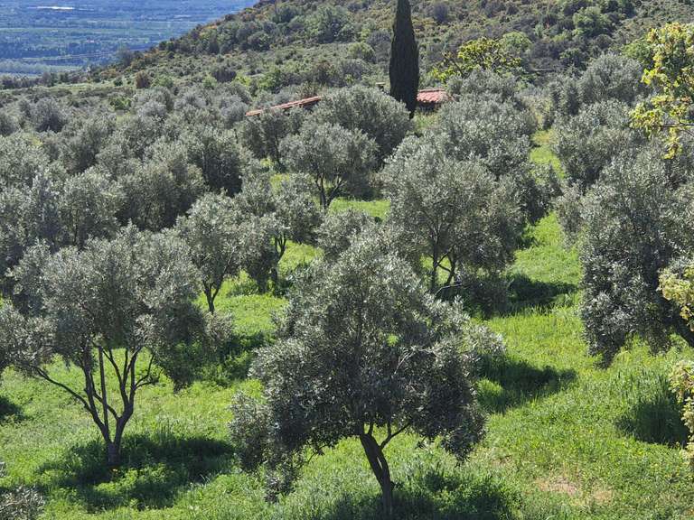 Domaine viticole Perpignan - 4 chambres - 252m²