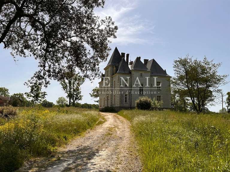 Castle Sainte-Hermine - 8 bedrooms - 670m²