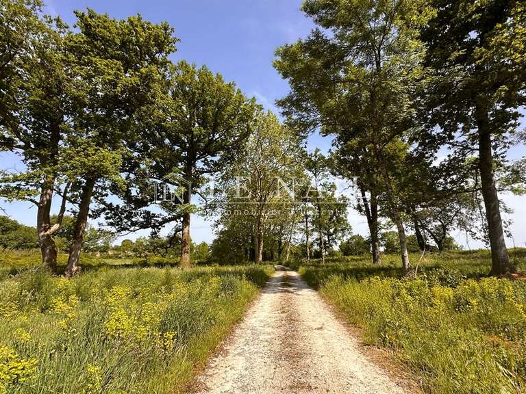 Castle Sainte-Hermine - 8 bedrooms - 670m²