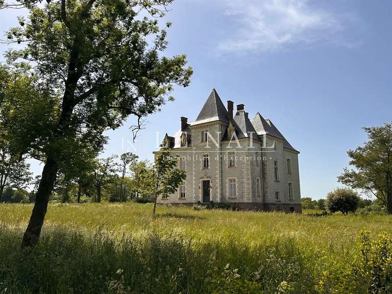 Castle Sainte-Hermine - 8 bedrooms - 670m²