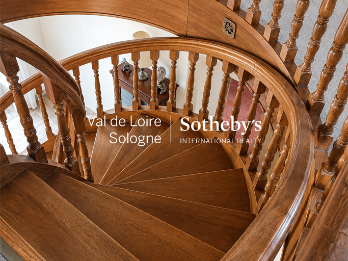 Manor Mennetou-sur-Cher - 5 bedrooms - 356m²