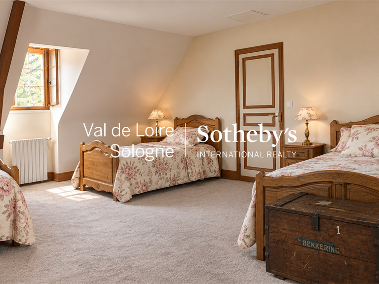 Manor Mennetou-sur-Cher - 5 bedrooms - 356m²