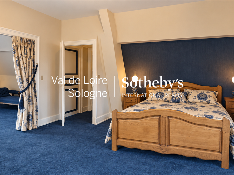 Manor Mennetou-sur-Cher - 5 bedrooms - 356m²