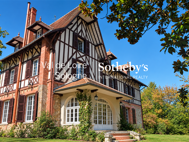 Manor Mennetou-sur-Cher - 5 bedrooms - 356m²