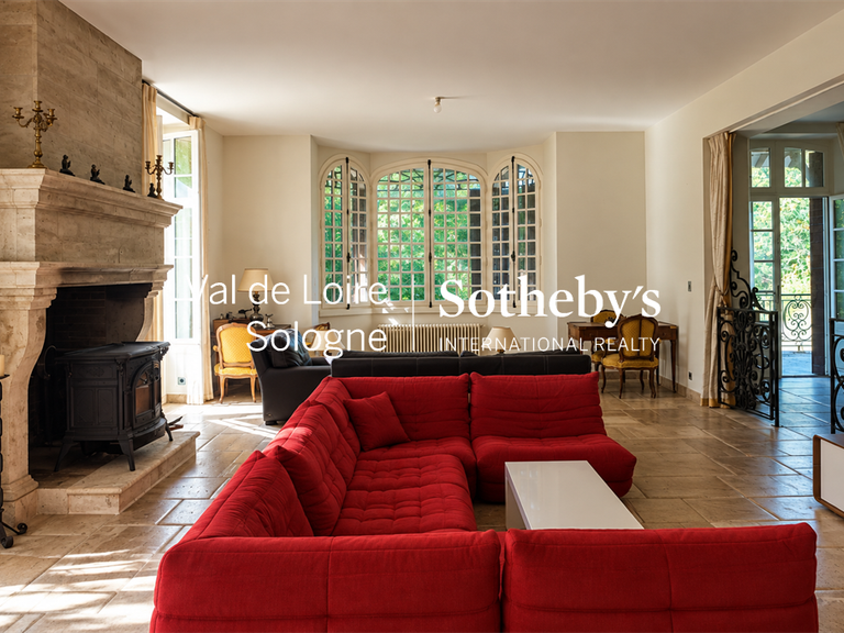 Manor Mennetou-sur-Cher - 5 bedrooms - 356m²