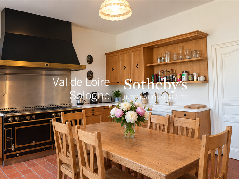 Manor Mennetou-sur-Cher - 5 bedrooms - 356m²
