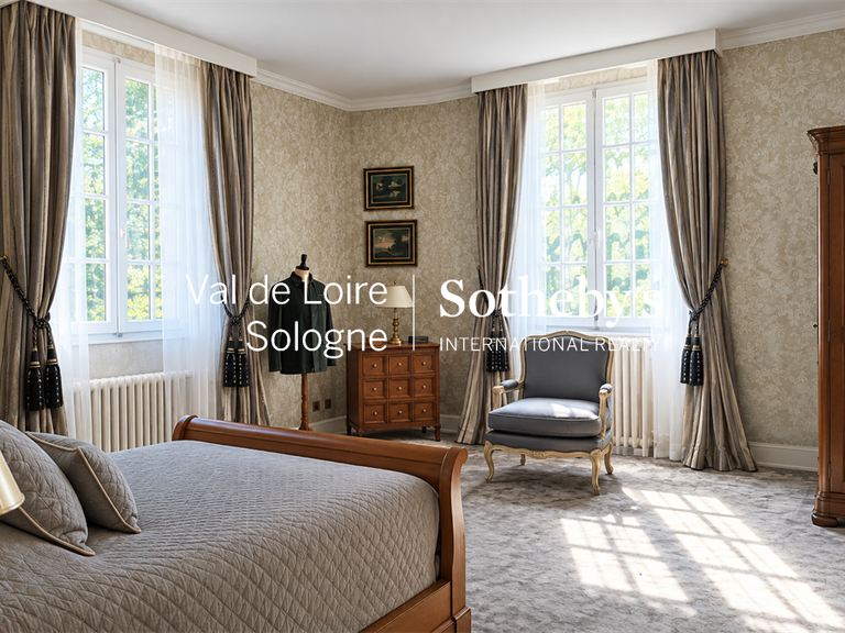 Manor Mennetou-sur-Cher - 5 bedrooms - 356m²
