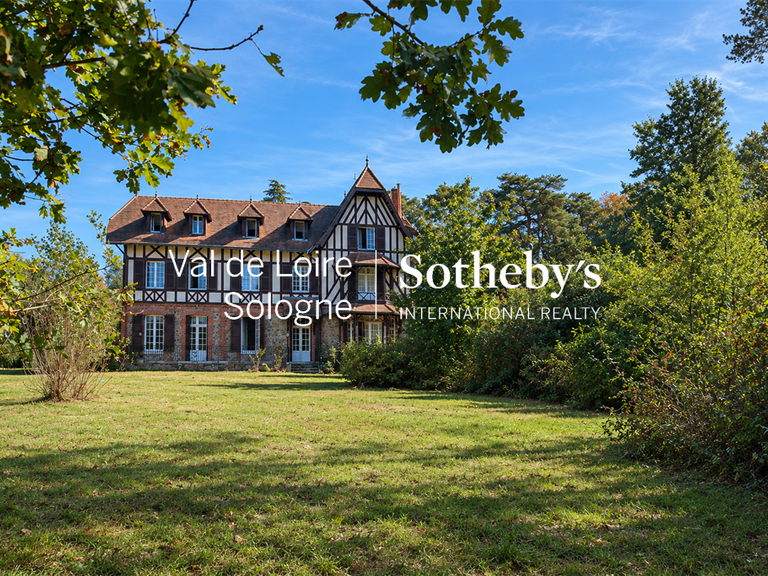 Manor Mennetou-sur-Cher - 5 bedrooms - 356m²