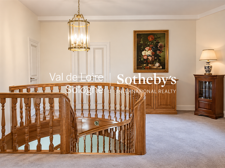 Manor Mennetou-sur-Cher - 5 bedrooms - 356m²