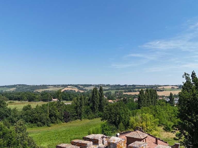 Castle Saint-Nauphary - 8 bedrooms - 840m²