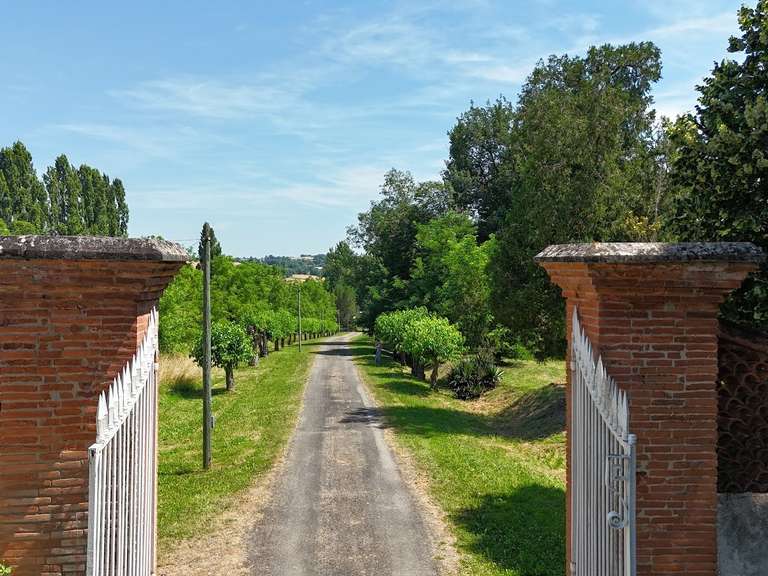 Castle Saint-Nauphary - 8 bedrooms - 840m²