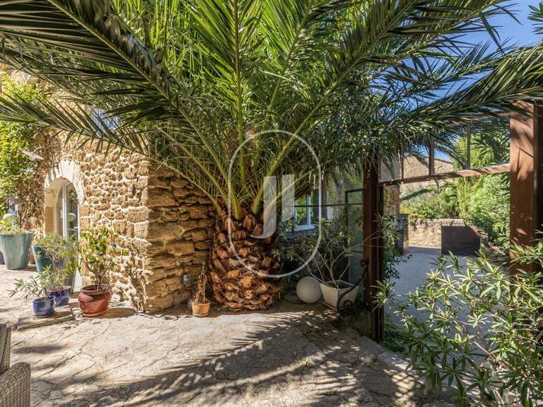 Maison Sainte-Cécile-les-Vignes - 8 chambres - 322m²
