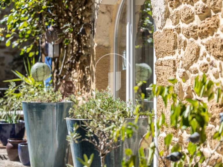Maison Sainte-Cécile-les-Vignes - 8 chambres - 322m²