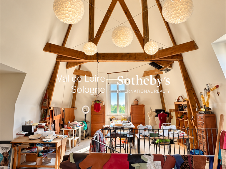 Castle Azay-le-Rideau - 17 bedrooms - 1190m²