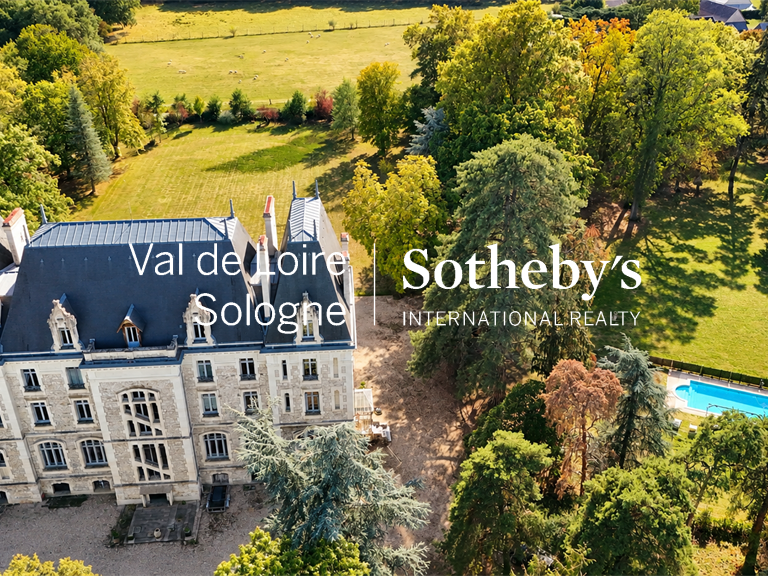Castle Azay-le-Rideau - 17 bedrooms - 1190m²