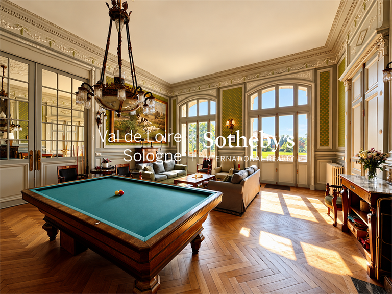 Castle Azay-le-Rideau - 17 bedrooms - 1190m²