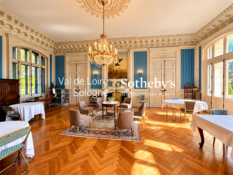 Castle Azay-le-Rideau - 17 bedrooms - 1190m²