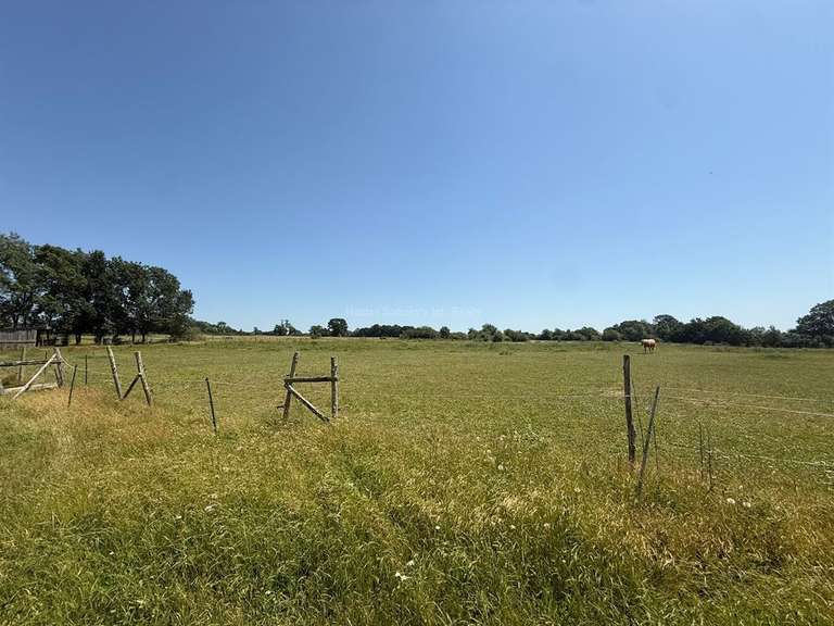 Propriété équestre Ligné - 4 chambres - 222m²