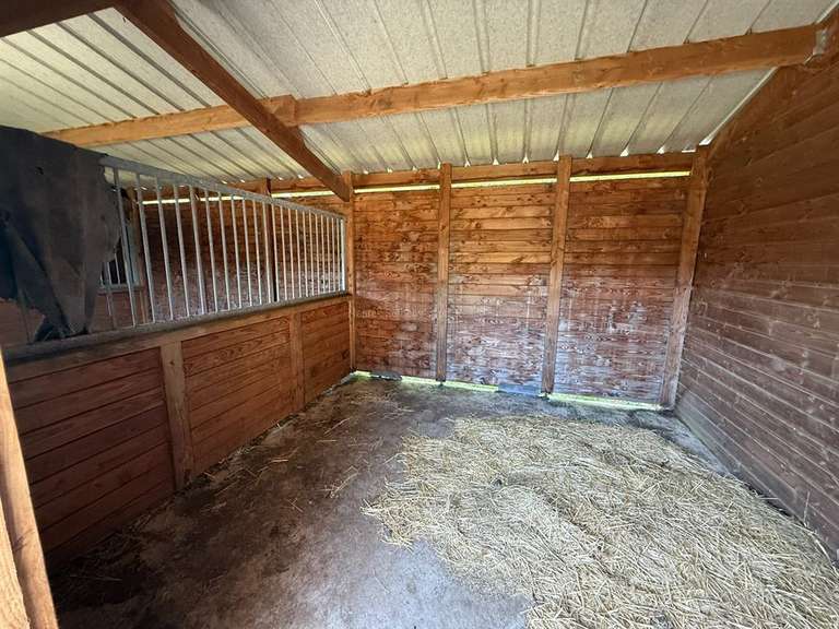 Propriété équestre Ligné - 4 chambres - 222m²
