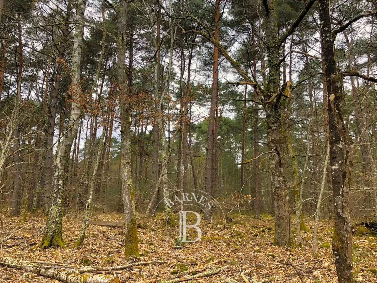 Propriété Lamotte-Beuvron