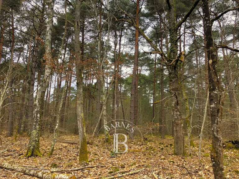 Property Lamotte-Beuvron