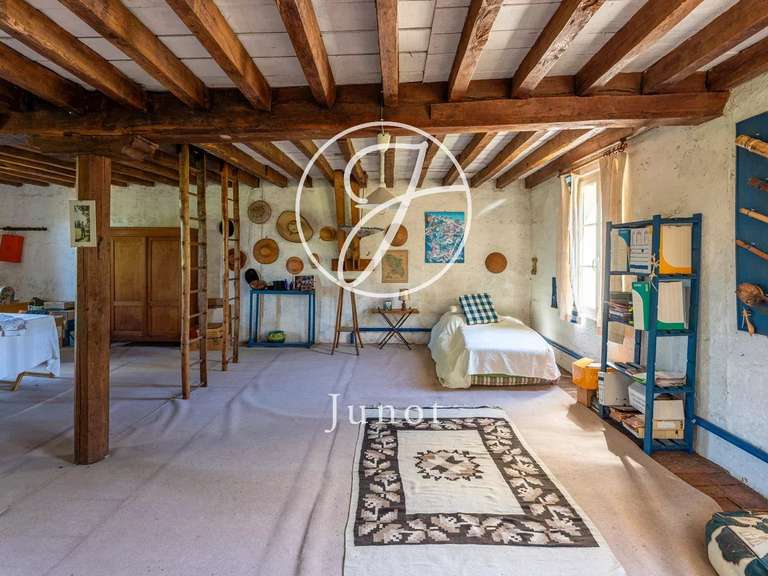 Propriété Vendôme - 8 chambres - 500m²