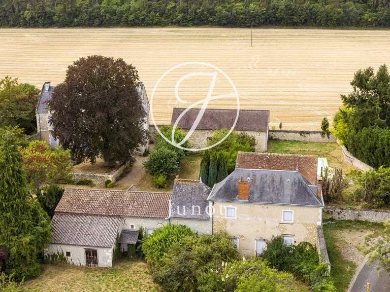 Propriété Sainte-Maure-de-Touraine - 7 chambres - 350m²